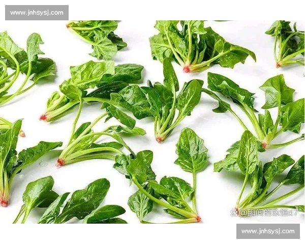 菠菜vs常见绿叶菜营养价值与健康功效全面对比解析科学解读指南